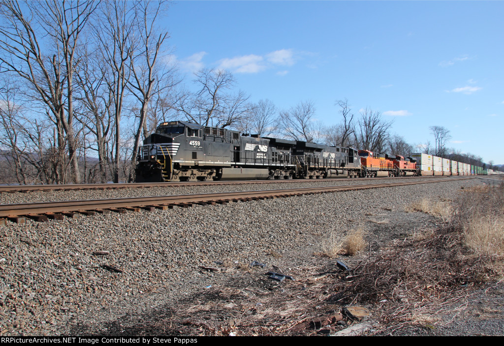 NS 4559 leading train 25G